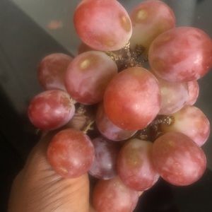 Meet your Posher, Ledoue